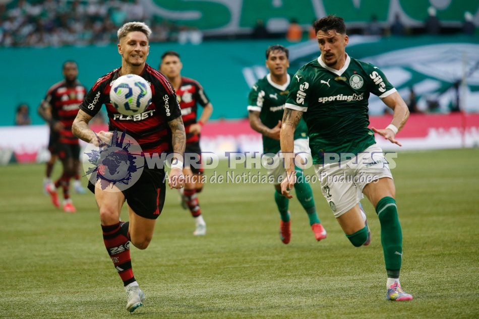 CAMPEONATO BRASILEIRO 2025 / PALMEIRAS X FLAMENGO